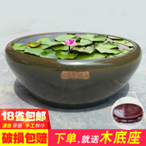 景德镇陶瓷鱼缸养乌龟缸荷花盆睡莲花盆缸碗莲盆缸风水瓷缸盆客厅