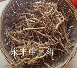 温州草药菜头肾 土太子参 大青子 新鲜