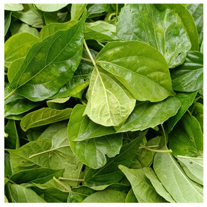 神仙豆腐干叶子泡水阿屎木干叶子斑鸠臭黄荆黄金神仙树柴叶子蔬菜