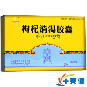 金诃 枸杞消渴胶囊 0.3g*20粒/盒
