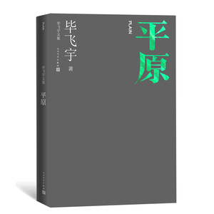 平原 毕飞宇文集 短篇小说集 茅奖作家 推拿 小说课