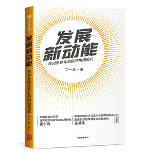发展新动能 丁一凡 著  性问题 中国方案 新常态 人类命运共同体 中国模式 中信出版社图书 正版