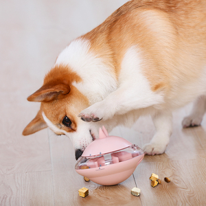 漏食球狗狗金毛