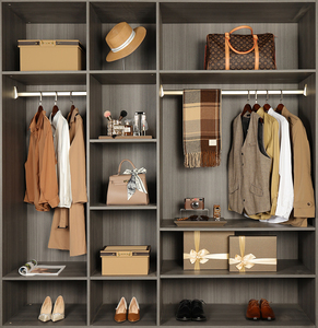 轻奢衣帽间饰品衣柜软装全屋定制展厅包包衣服高跟鞋样板房衣帽间