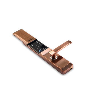 指纹密码锁带门铃