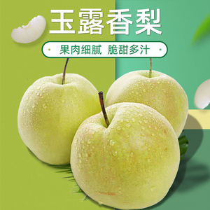 顺丰包邮到家正宗香梨水果新鲜青皮山西隰县玉露香梨子