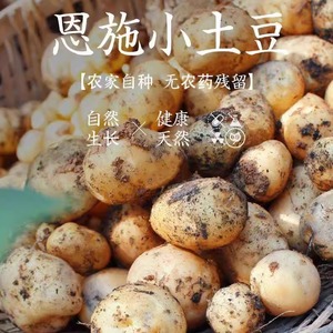 恩施小土豆5斤装4种规格选八十年老品种高山富硒土豆绵糯香新鲜