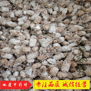 小药仙旗舰店天猫小药仙千日红250g克中药材千金红千年红散装新鲜干