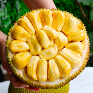 海南三亚新鲜水果大果当季黄肉红心菠萝蜜一整个顺丰包邮20-40斤