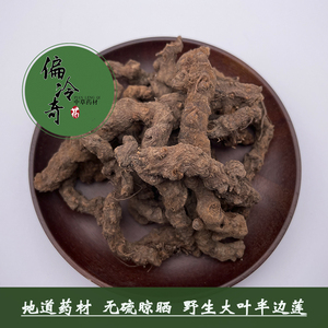 偏冷奇中草药材大叶半边莲一口血岩丸子乙阴莲葡萄叶秋海棠 500克