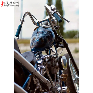 哈雷小油箱运动者车系883改装小型油箱1200 48狂人双孔油箱正侧孔