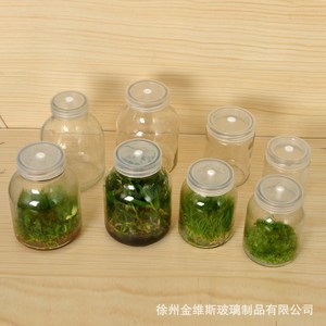 厂家耐高温组培瓶菌种瓶育苗瓶兰花植物培养瓶虫草瓶透气盖子