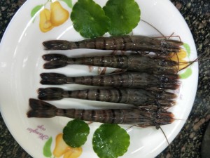 黑虎虾冷冻 东山岛本港海鲜 6只左右250g 新鲜黑节虾大斑节虾