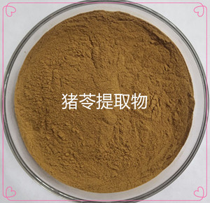 猪苓提取物 猪苓粉末 猪苓多糖30P% 猪苓浓缩免煎粉 送1克勺