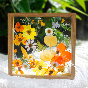 花卉标本相框