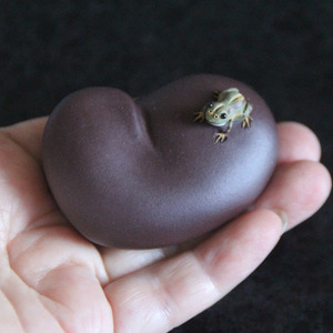 这么大的紫砂黑蚕豆芸豆有没有晕瞎你的眼上面的小青蛙还会喷水呢