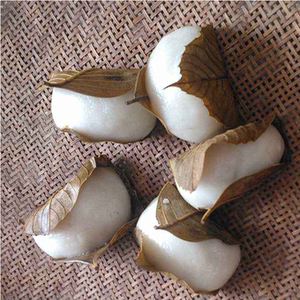 2020年湖南叶叶粑粑12个