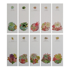 30张 书签盒装多肉植物品种名称留言小卡片清新简约复古满额包邮