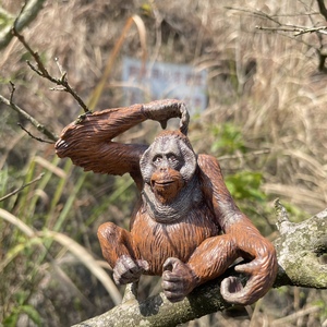 papo 红毛狒狒 猩猩 野生仿真动物模型儿童认知科普玩具收藏摆件