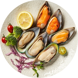 新西兰半壳青口贝,无冰原装进口新鲜熟冻翡翠贝贻贝淡菜海鲜贝类