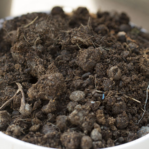 发酵无臭天然羊粪 肥料/花肥料/有机肥料/兰花铁皮石斛草花羊肥