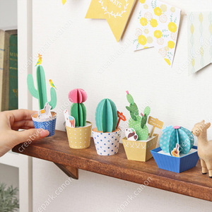 3d模型diy手工立体折纸儿童益智玩具仙人掌植物盆景绿植摆件制作