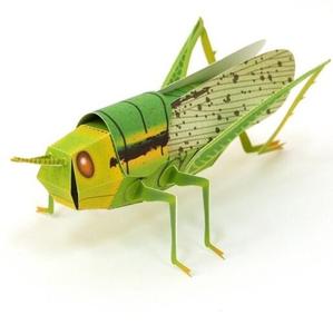 立体纸塑昆虫图片