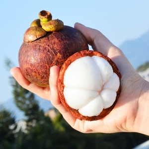 海南热带水果 保亭七仙岭山竹 新鲜采摘5斤大果孕妇水果 顺丰包邮