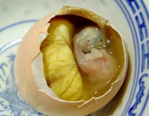 熟的活珠子 南京特产六合特色小吃当天现煮毛鸡蛋代购美食8只装