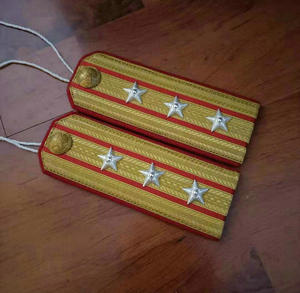 00珍宝岛168淘宝库存正品收藏55式领章退役55式军衔55式兵种符号