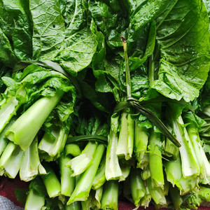 重庆时令新鲜蔬菜
