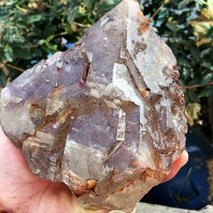 天然白水晶鳄鱼皮骨干水晶标本原石 云母骨干水晶 全包裹黑云母