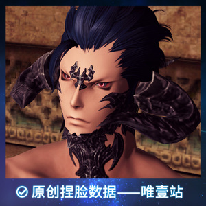 【唯壹站】最终幻想14ff14捏脸数据脸型 暮晖 龙男 帅气 1号脸