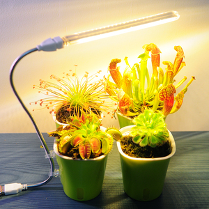 led补光灯食虫植物多肉专用园艺生长灯室内显色防徒长新手易养活
