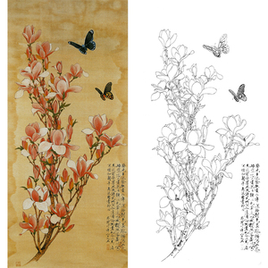 yf41于非暗白描底稿工笔花鸟辛夷蝴蝶白描底稿临摹勾线稿红玉兰