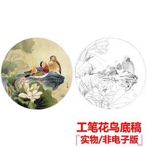 工笔画鸳鸯荷花底稿