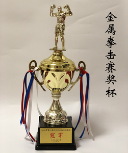武术散打奖杯