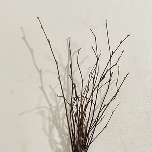 桦树枝天然干树枝带叉枝条室内摆设擦花装饰家居文艺拍摄道具