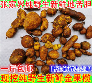 野生新鲜地苦胆金果榄九牛胆九莲子九龙胆金果榄野生新鲜中药材