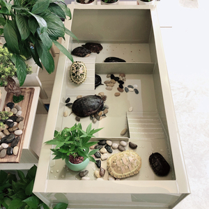 乌龟缸带晒台大号龟池阳台家用乌龟养殖箱喂食区龟箱繁殖塑料龟缸