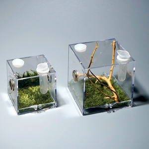 迷你亚克力跳蛛饲养盒宠物小号灯诱加湿温度计防越狱大号透气掌盒