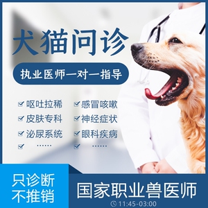 980人付款淘宝宠物医生执业兽医在线咨询指导 猫咪狗狗医生疾病问诊