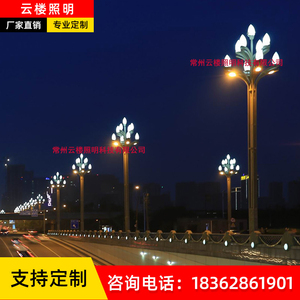 中华灯5米6米9火8米10米九头玉兰灯路灯户外灯高杆路灯景观广场灯