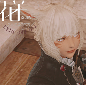 【雅修特拉】最终幻想14ff14捏脸数据雅修特拉捏脸数据脸型猫女脸