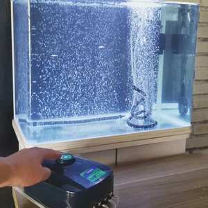 观赏鱼打包氧气瓶鱼缸无电给鱼供氧水草缸水族鱼水小型充氧增氧器