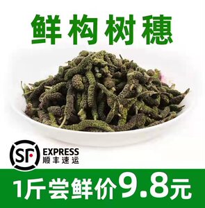 构树花新鲜