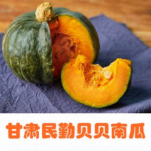 甘肃民勤南瓜