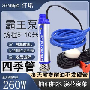 电动抽油泵柴油泵3.5cm新款12v24v220v款油抽子迷你型潜水泵