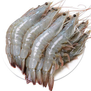 厄瓜多尔进口南美白虾鲜活冷冻海洋对虾基围虾 多个规格