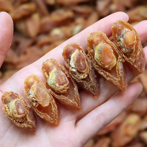 120头野生印尼鲍鱼干鲍鱼螺淡干煲汤煲粥海鲜干货约60只250g袋装